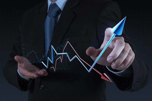 拓商之道 拼多多運營實戰攻略，告別“沒流量”困境的站內推廣秘笈